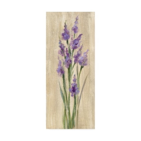 Trademark Fine Art Silvia Vassileva 'Farm Flower II' Canvas Art, 8x19 WAP12121-C819GG
